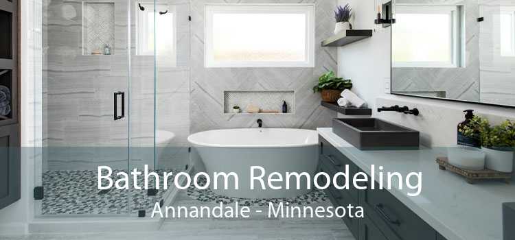 Bathroom Remodeling Annandale - Minnesota