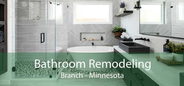 Bathroom Remodeling Branch - Minnesota