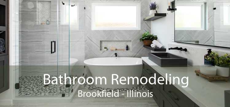 Bathroom Remodeling Brookfield - Illinois