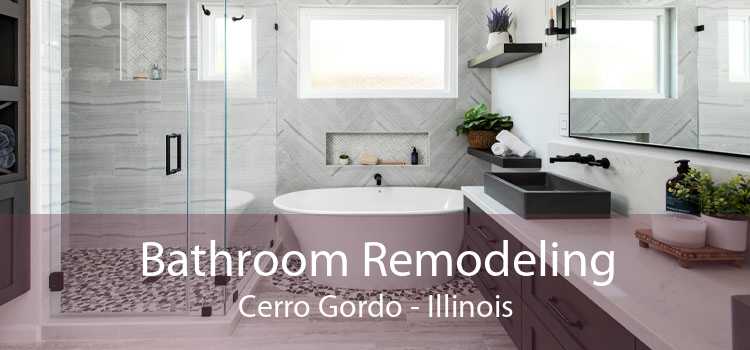 Bathroom Remodeling Cerro Gordo - Illinois
