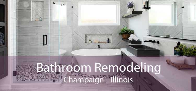 Bathroom Remodeling Champaign - Illinois
