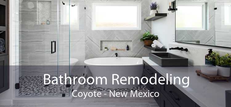 Bathroom Remodeling Coyote - New Mexico