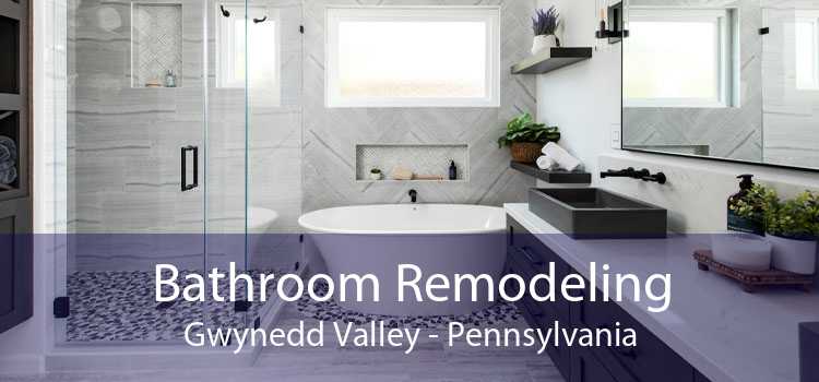 Bathroom Remodeling Gwynedd Valley - Pennsylvania