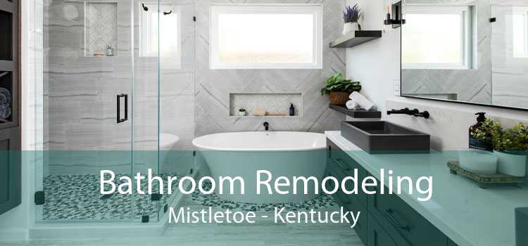 Bathroom Remodeling Mistletoe - Kentucky