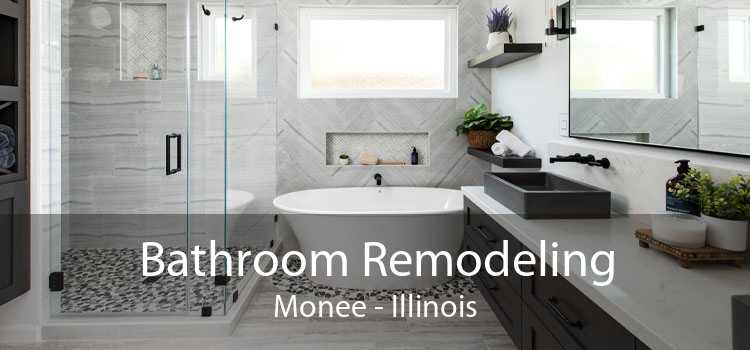 Bathroom Remodeling Monee - Illinois