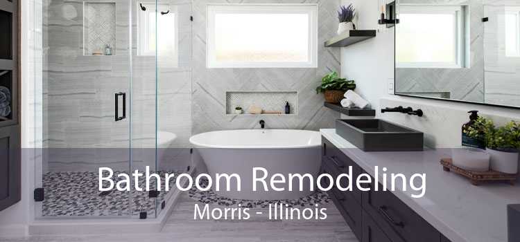 Bathroom Remodeling Morris - Illinois