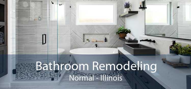 Bathroom Remodeling Normal - Illinois