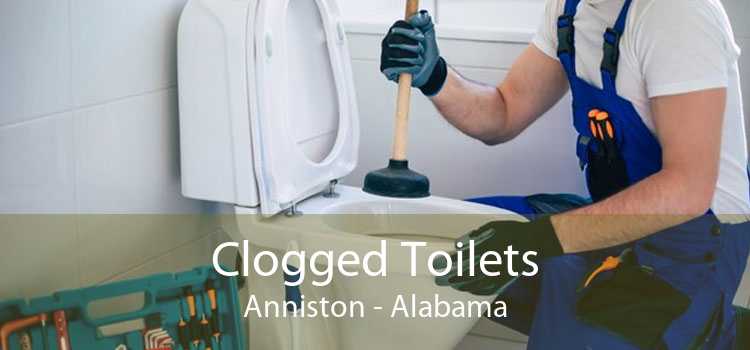 Clogged Toilets Anniston - Alabama