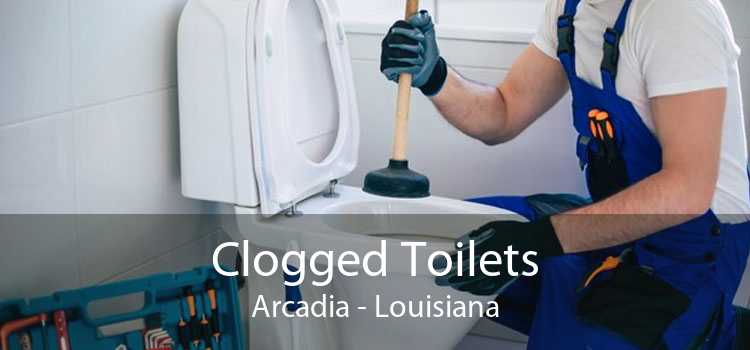 Clogged Toilets Arcadia - Louisiana