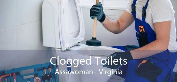 Clogged Toilets Assawoman - Virginia