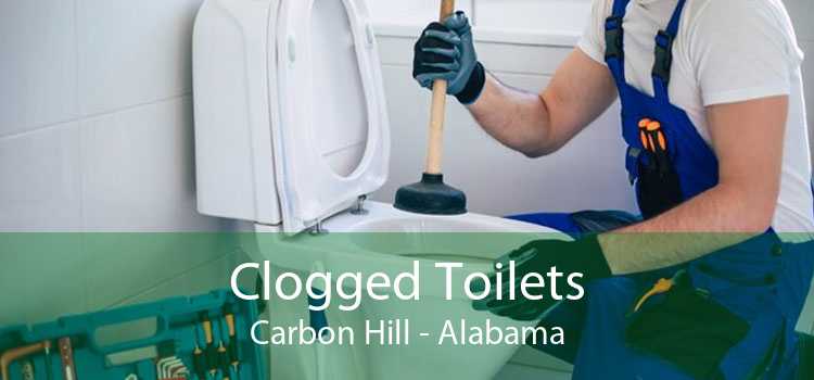 Clogged Toilets Carbon Hill - Alabama