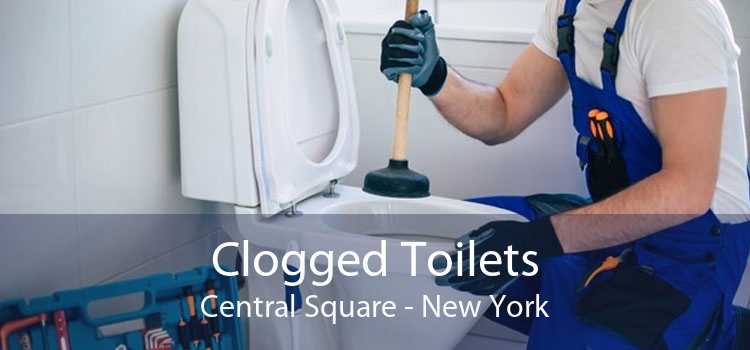 Clogged Toilets Central Square - New York