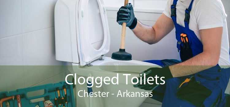 Clogged Toilets Chester - Arkansas