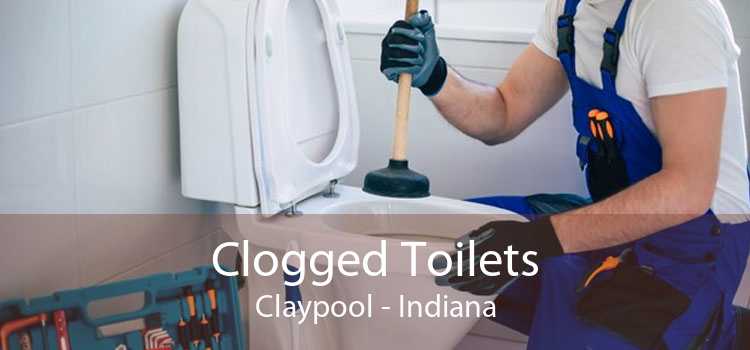 Clogged Toilets Claypool - Indiana