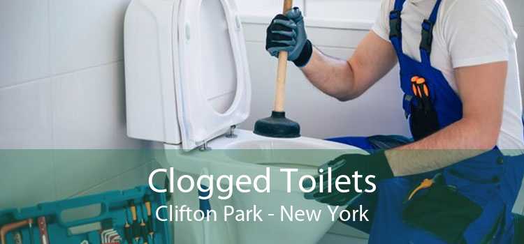 Clogged Toilets Clifton Park - New York
