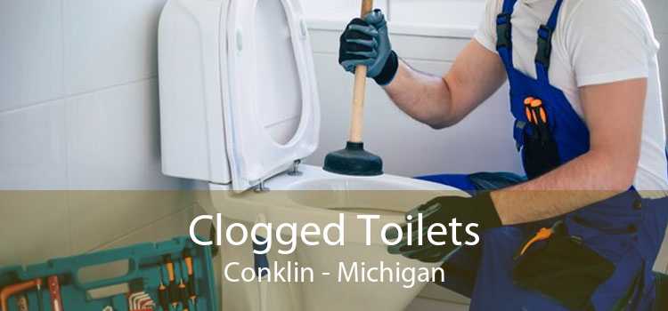 Clogged Toilets Conklin - Michigan