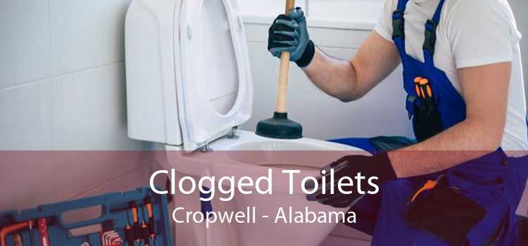 Clogged Toilets Cropwell - Alabama