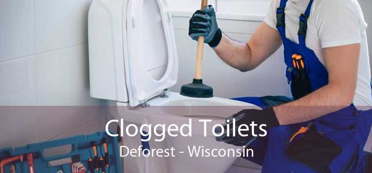 Clogged Toilets Deforest - Wisconsin