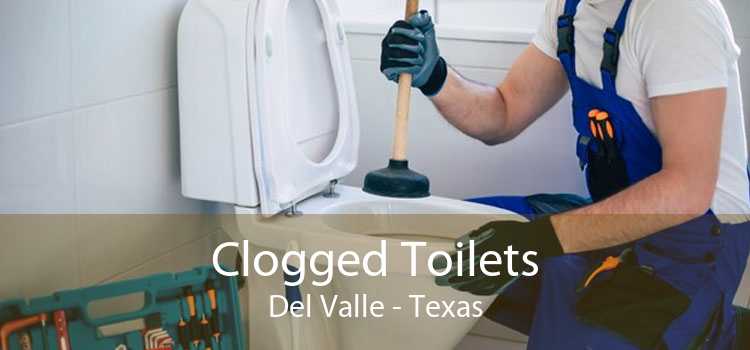 Clogged Toilets Del Valle - Texas