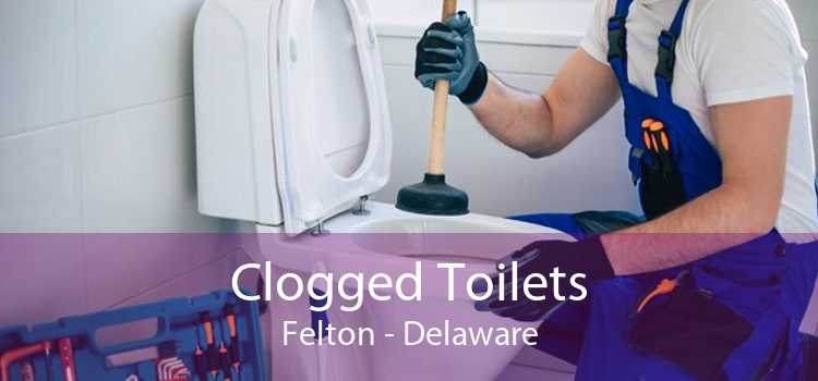 Clogged Toilets Felton - Delaware