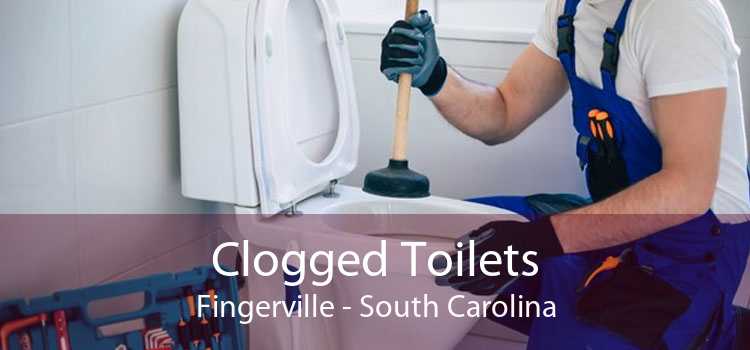 Clogged Toilets Fingerville - South Carolina