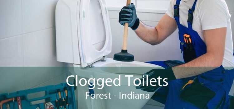 Clogged Toilets Forest - Indiana
