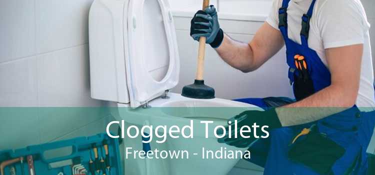 Clogged Toilets Freetown - Indiana