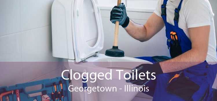 Clogged Toilets Georgetown - Illinois