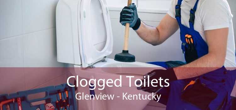 Clogged Toilets Glenview - Kentucky