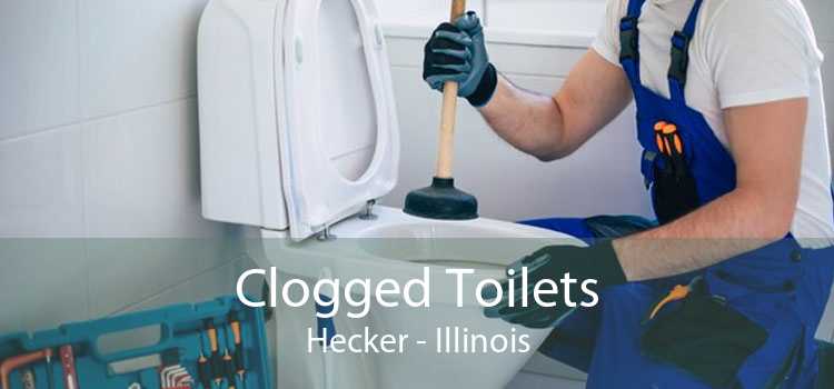 Clogged Toilets Hecker - Illinois