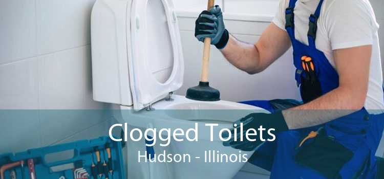 Clogged Toilets Hudson - Illinois