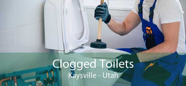 Clogged Toilets Kaysville - Utah