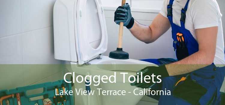 Clogged Toilets Lake View Terrace - California