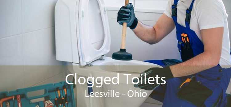 Clogged Toilets Leesville - Ohio