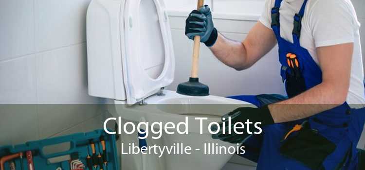 Clogged Toilets Libertyville - Illinois