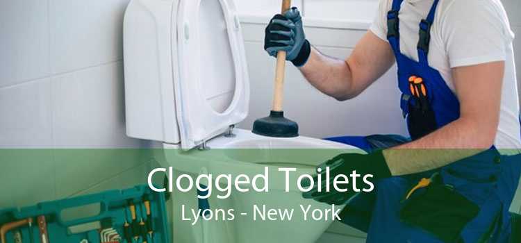 Clogged Toilets Lyons - New York
