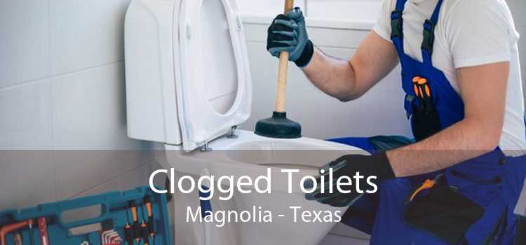 Clogged Toilets Magnolia - Texas