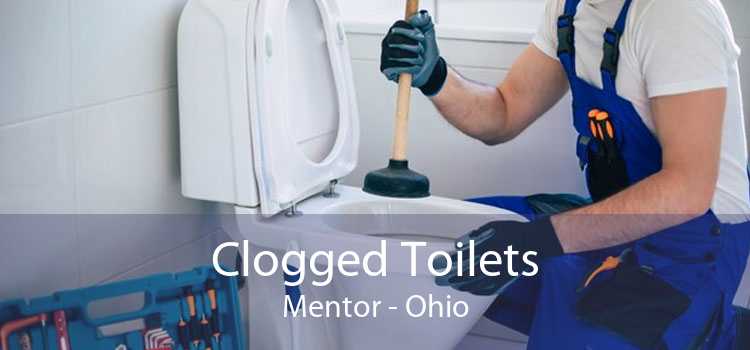 Clogged Toilets Mentor - Ohio