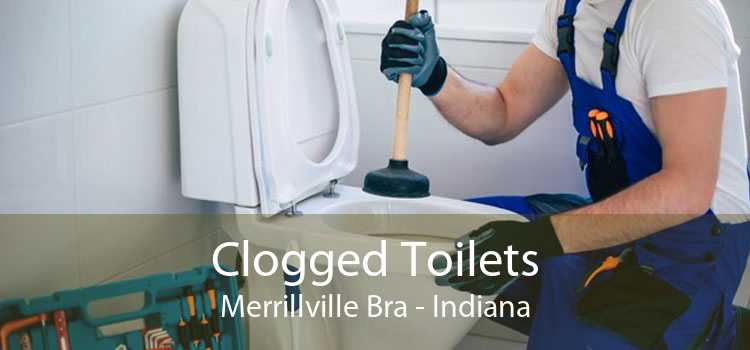 Clogged Toilets Merrillville Bra - Indiana