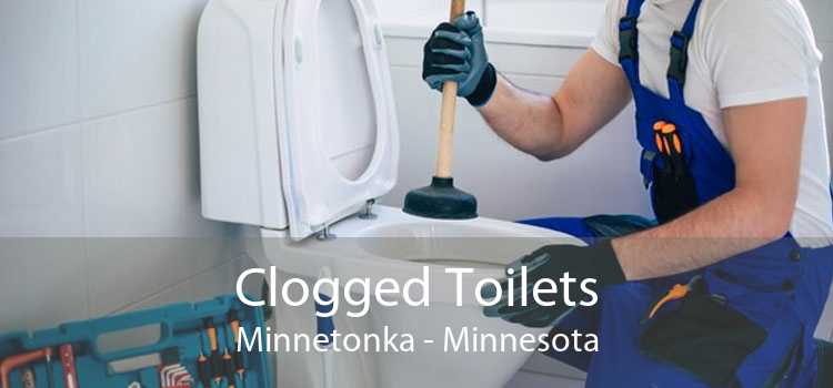 Clogged Toilets Minnetonka - Minnesota