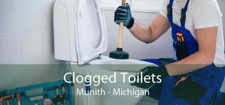 Clogged Toilets Munith - Michigan