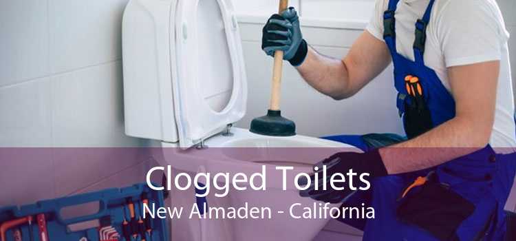 Clogged Toilets New Almaden - California