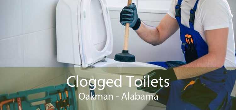 Clogged Toilets Oakman - Alabama