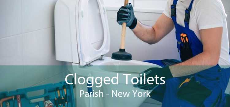 Clogged Toilets Parish - New York