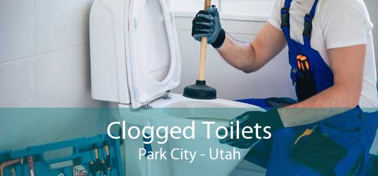 Clogged Toilets Park City - Utah