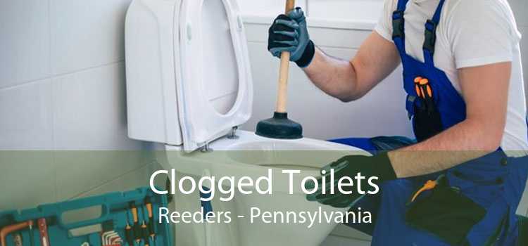 Clogged Toilets Reeders - Pennsylvania