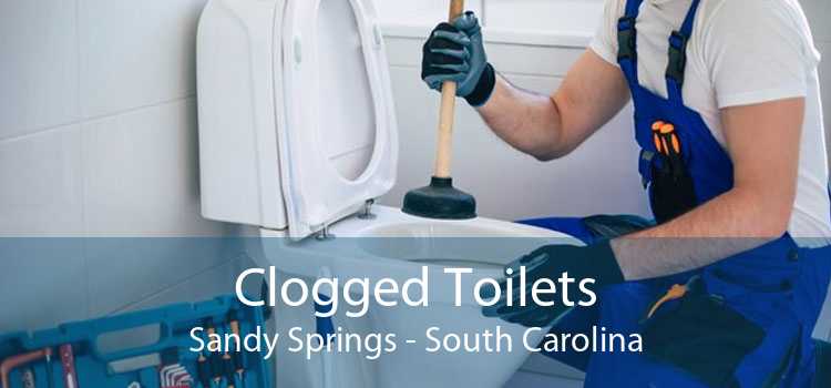 Clogged Toilets Sandy Springs - South Carolina