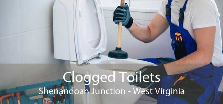 Clogged Toilets Shenandoah Junction - West Virginia