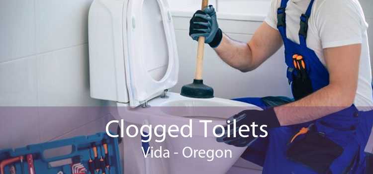 Clogged Toilets Vida - Oregon