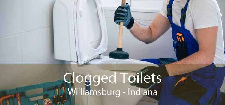 Clogged Toilets Williamsburg - Indiana